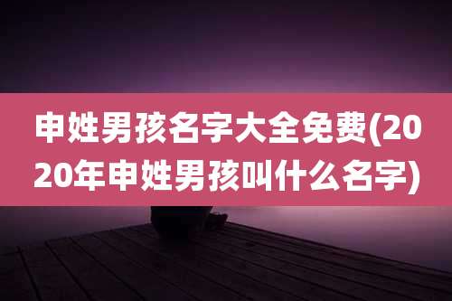 申姓男孩名字大全免费(2020年申姓男孩叫什么名字)