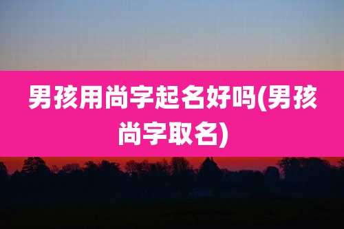 男孩用尚字起名好吗(男孩尚字取名)