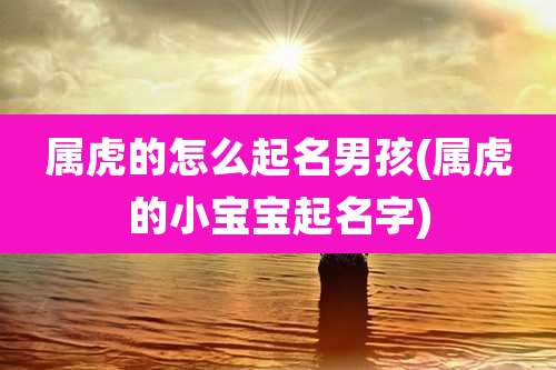 属虎的怎么起名男孩(属虎的小宝宝起名字)