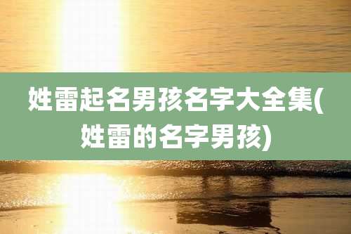 姓雷起名男孩名字大全集(姓雷的名字男孩)