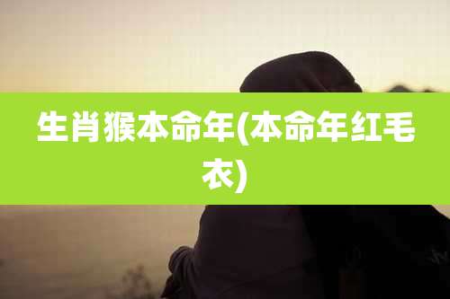 生肖猴本命年(本命年红毛衣)
