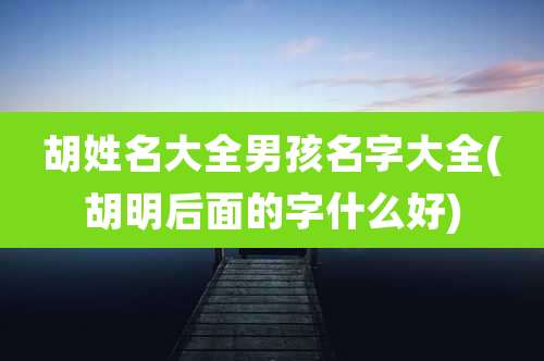 胡姓名大全男孩名字大全(胡明后面的字什么好)