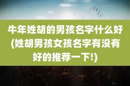 牛年姓胡的男孩名字什么好(姓胡男孩女孩名字有没有好的推荐一下!)