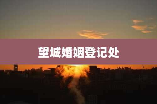 望城婚姻登记处