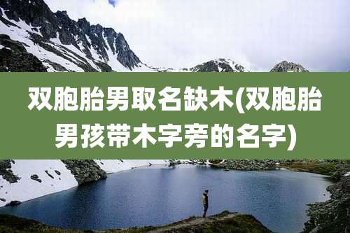 双胞胎男取名缺木(双胞胎男孩带木字旁的名字)