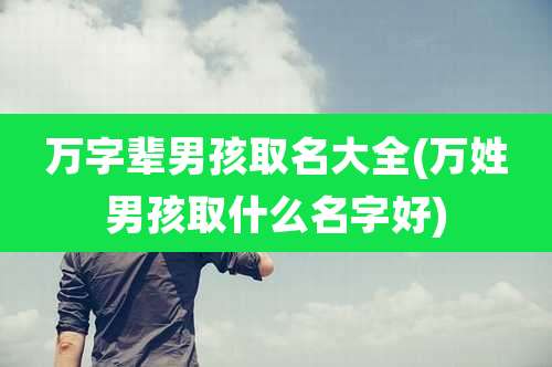 万字辈男孩取名大全(万姓男孩取什么名字好)