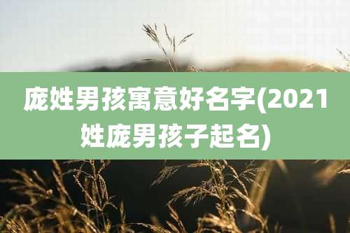 庞姓男孩寓意好名字(2021姓庞男孩子起名)