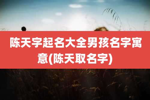 陈天字起名大全男孩名字寓意(陈天取名字)