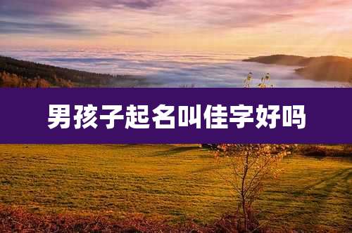 男孩子起名叫佳字好吗