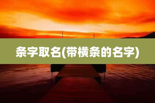 条字取名(带横条的名字)