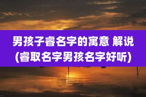 男孩子睿名字的寓意 解说(睿取名字男孩名字好听)