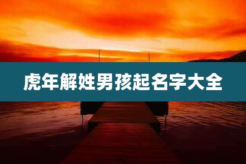 虎年解姓男孩起名字大全