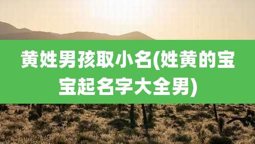 黄姓男孩取小名(姓黄的宝宝起名字大全男)
