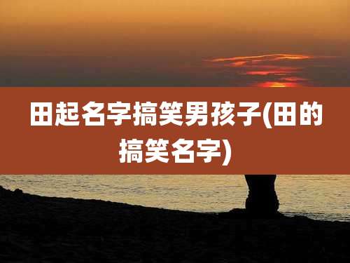 田起名字搞笑男孩子(田的搞笑名字)