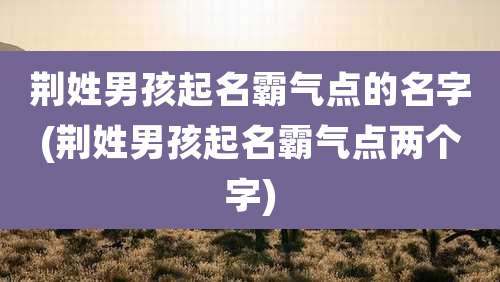 荆姓男孩起名霸气点的名字(荆姓男孩起名霸气点两个字)