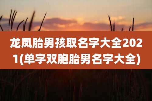 龙凤胎男孩取名字大全2021(单字双胞胎男名字大全)