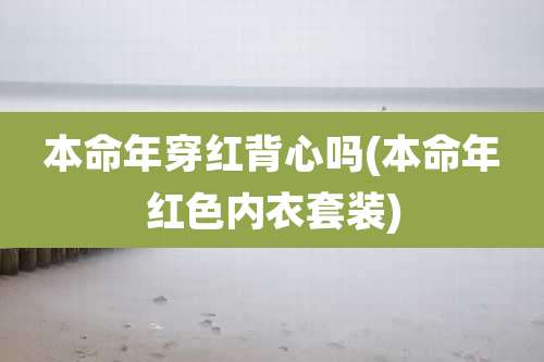 本命年穿红背心吗(本命年红色内衣套装)