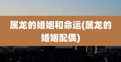 属龙的婚姻和命运(属龙的婚姻配偶)