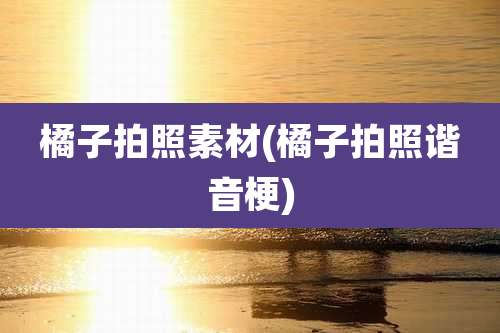 橘子拍照素材(橘子拍照谐音梗)