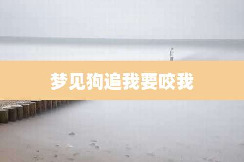 梦见狗追我要咬我