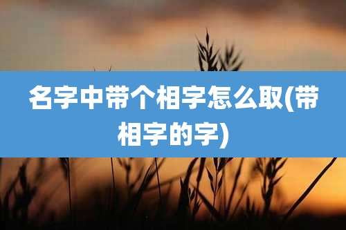 名字中带个相字怎么取(带相字的字)