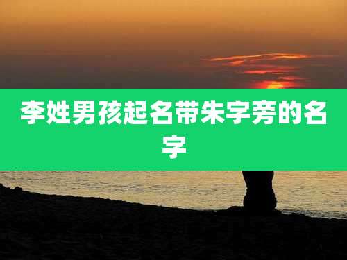 李姓男孩起名带朱字旁的名字