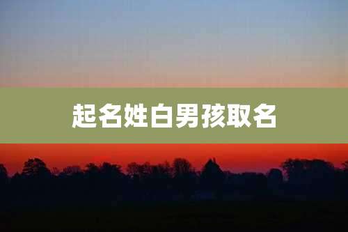 起名姓白男孩取名