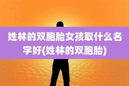 姓林的双胞胎女孩取什么名字好(姓林的双胞胎)