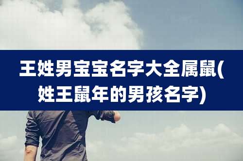 王姓男宝宝名字大全属鼠(姓王鼠年的男孩名字)