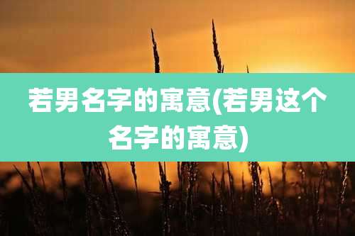 若男名字的寓意(若男这个名字的寓意)