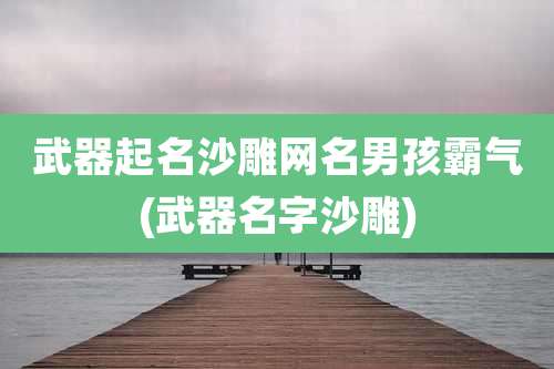 武器起名沙雕网名男孩霸气(武器名字沙雕)