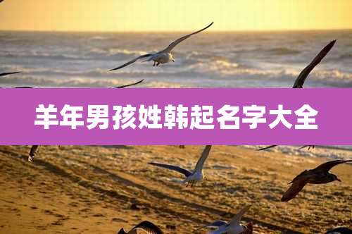 羊年男孩姓韩起名字大全