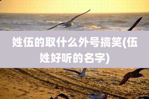 姓伍的取什么外号搞笑(伍姓好听的名字)