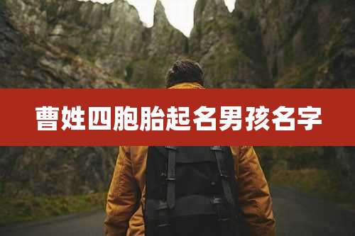 曹姓四胞胎起名男孩名字