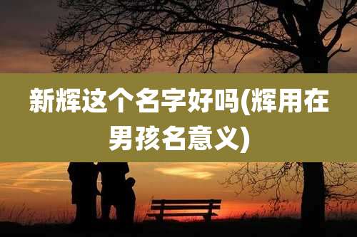 新辉这个名字好吗(辉用在男孩名意义)