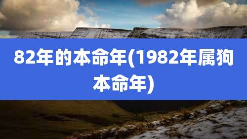 82年的本命年(1982年属狗本命年)