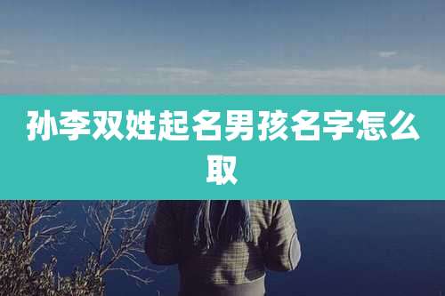 孙李双姓起名男孩名字怎么取