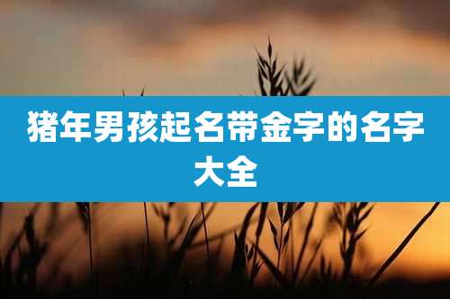 猪年男孩起名带金字的名字大全