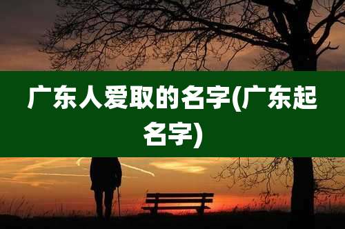 广东人爱取的名字(广东起名字)