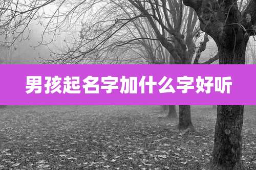 男孩起名字加什么字好听