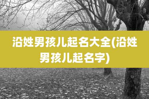 沿姓男孩儿起名大全(沿姓男孩儿起名字)