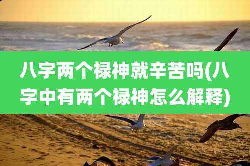 八字两个禄神就辛苦吗(八字中有两个禄神怎么解释)