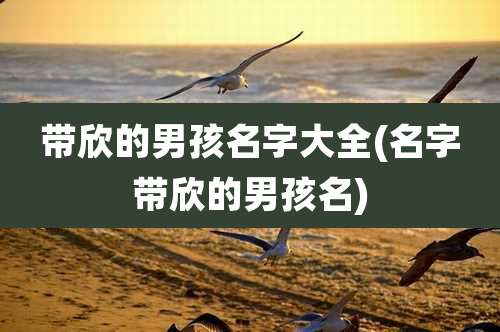带欣的男孩名字大全(名字带欣的男孩名)