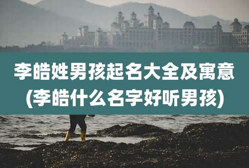 李皓姓男孩起名大全及寓意(李皓什么名字好听男孩)