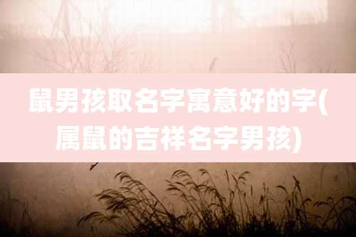 鼠男孩取名字寓意好的字(属鼠的吉祥名字男孩)