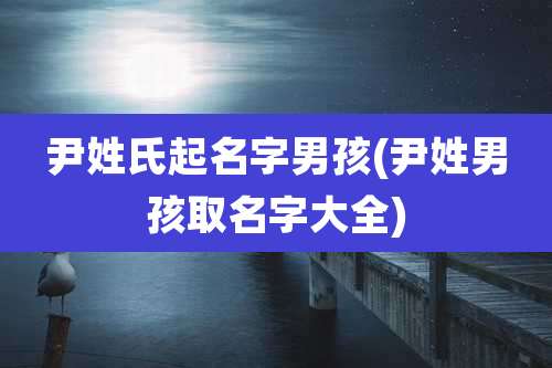 尹姓氏起名字男孩(尹姓男孩取名字大全)