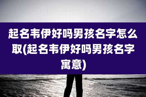 起名韦伊好吗男孩名字怎么取(起名韦伊好吗男孩名字寓意)