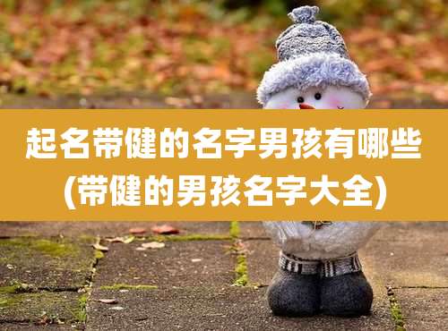 起名带健的名字男孩有哪些(带健的男孩名字大全)