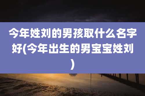 今年姓刘的男孩取什么名字好(今年出生的男宝宝姓刘)