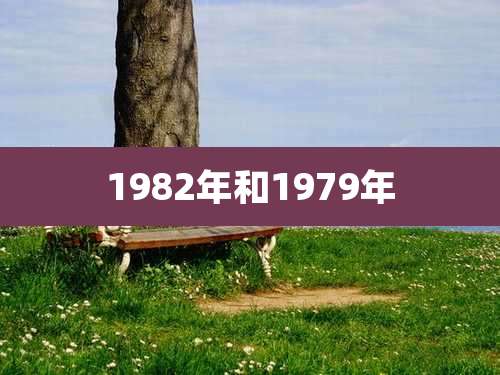 1982年和1979年